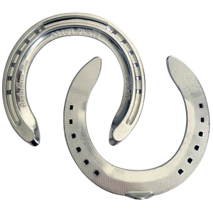 Apple Ascot WSV Racing Plate Fronts