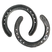 New Zealand Concave Toe-Clipped Front