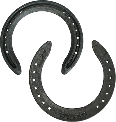 St. Croix Concorde Yearling Unclipped