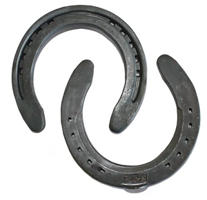 O'Dwyer FHS Flat Hack Shoe